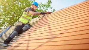 Best Rubber Roofing (EPDM, TPO)  in Cane Savannah, SC