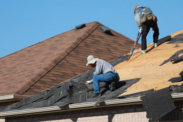 Best Roof Insulation Installation  in Cane Savannah, SC