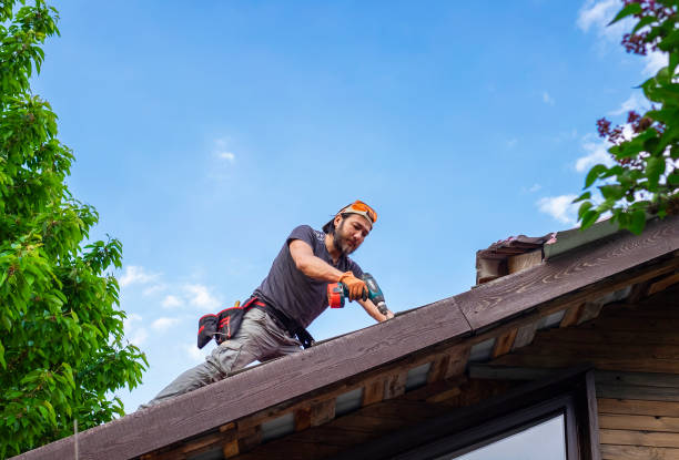 Best Roof Coating Services  in Cane Savannah, SC