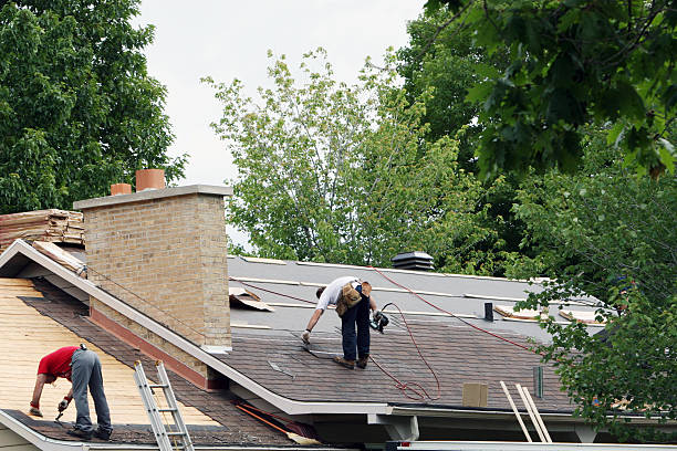 Best Green or Eco-Friendly Roofing Solutions  in Cane Savannah, SC