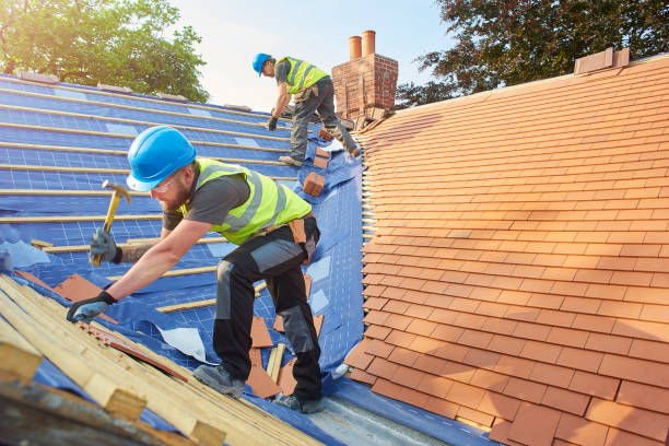 Best Metal Roofing Installation  in Cane Savannah, SC