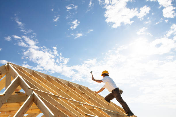 Best Skylight Installation and Repair  in Cane Savannah, SC